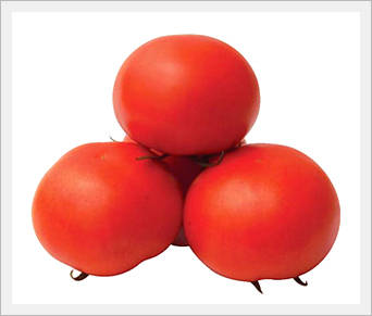 Tomato Seeds  Made in Korea